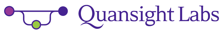 Quansight Labs